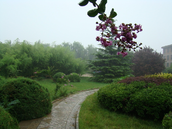 新华网_河北频道_政府网群_河北望都