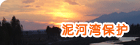 ����屣��