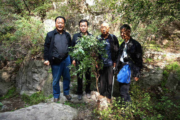 新华网_河北频道_政府网群_河北武安