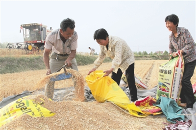 新华网_河北频道_政府网群