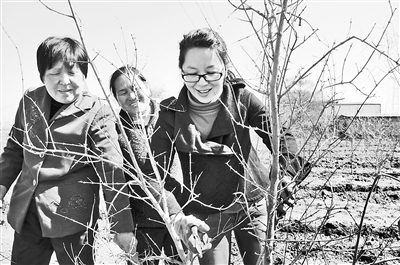 新华网_河北频道_政府网群