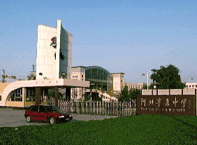 新华网_河北频道_政府网群_辛集