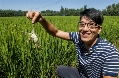 新华网_河北频道_政府网群_河北涿州