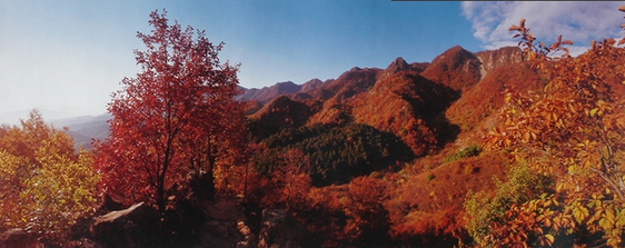 -新华网-遵化频道