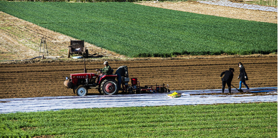 -新华网-遵化频道