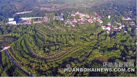 -新华网-遵化频道