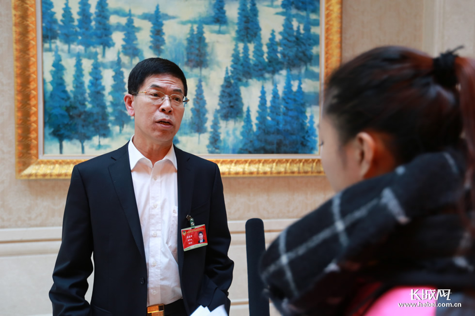 [河北两会]省政协分组讨论 委员闪光建议多