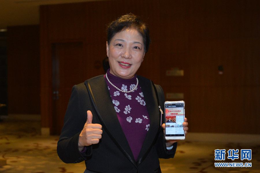 王淑英代表:加快家庭教育立法进程 完善父母培