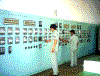 worker.gif (19551 字节)